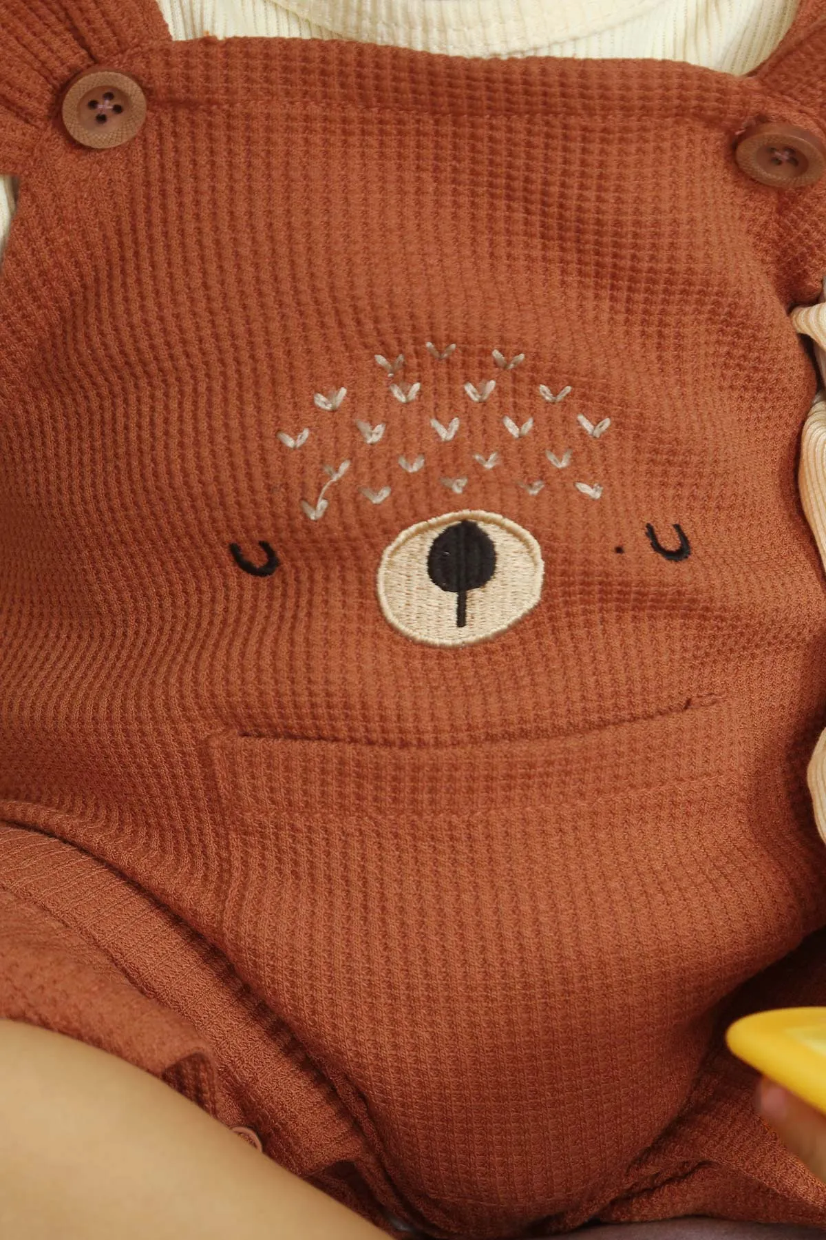 Embroidered Bear Dungaree & Shirt 2pc Set