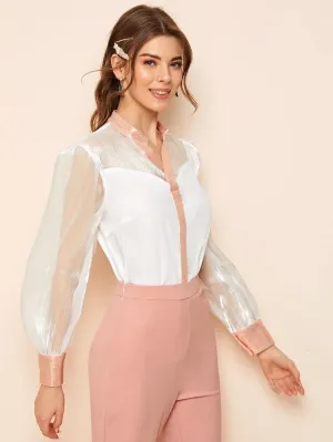 Organza Yoke Bishop Sleeve Top