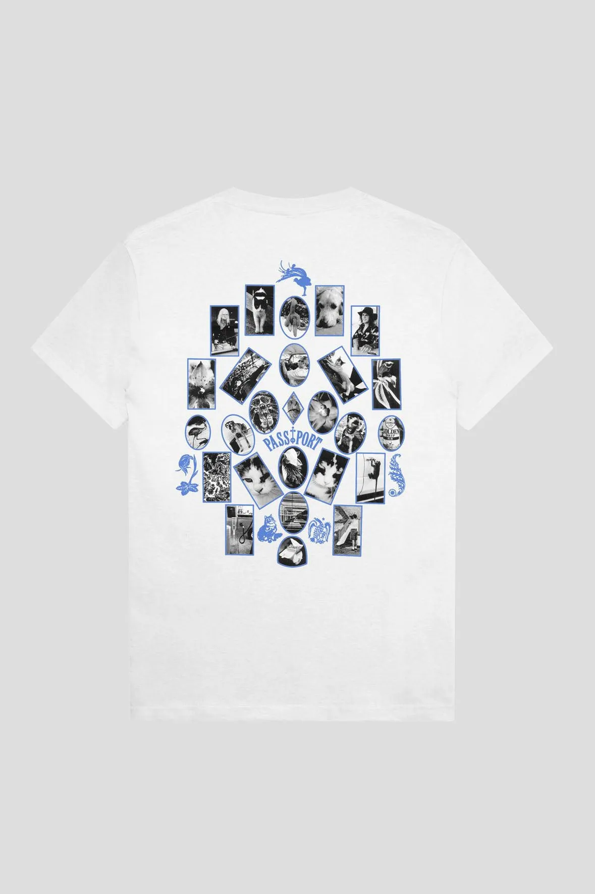PASS~PORT SOPHOMORE TEE - WHITE/BLUE